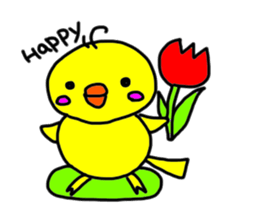 parakeet of piichan sometime cats sticker #6399164