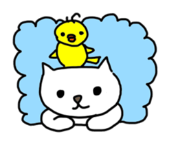 parakeet of piichan sometime cats sticker #6399188
