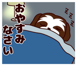 Daily Shih Tzu 2 sticker #6401804