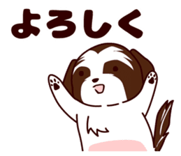 Daily Shih Tzu 2 sticker #6401808