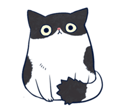 Cool Tuxedo Cat sticker #6401840