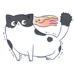 Cool Tuxedo Cat sticker #6401848