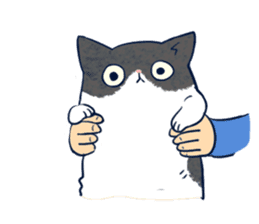 Cool Tuxedo Cat sticker #6401855