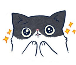 Cool Tuxedo Cat sticker #6401875