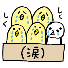 Every day of a panda40