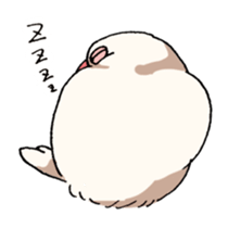 Powerful Java sparrow sticker #6404141