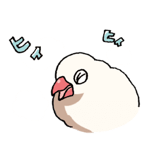 Powerful Java sparrow sticker #6404147