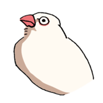 Powerful Java sparrow sticker #6404148