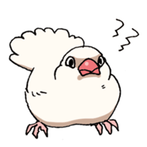 Powerful Java sparrow sticker #6404149