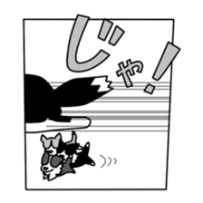 Love Love Border collies! 5 sticker #6404441