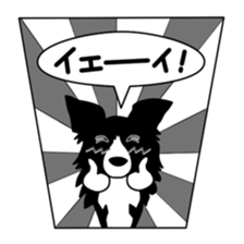 Love Love Border collies! 5 sticker #6404445