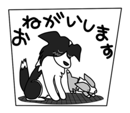 Love Love Border collies! 5 sticker #6404470