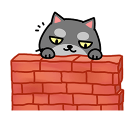 Small black cat Tin-Tin (V.1.0) sticker #6405287