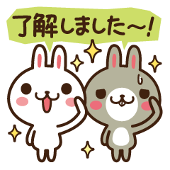 Positive rabbit & Negative rabbit 4