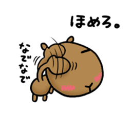 funny capybara sticker1 sticker #6406856