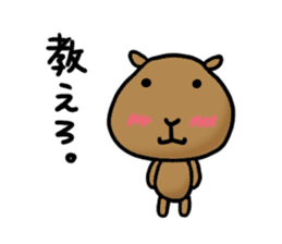 funny capybara sticker1 sticker #6406859
