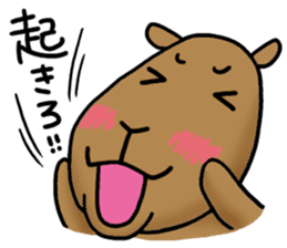 funny capybara sticker1 sticker #6406867
