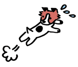 My Dog, Chance (Jack Russel Terrier) sticker #6407097