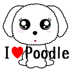 Everyday friends Poodle