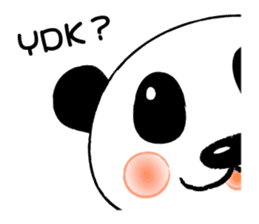 Cat *3 chick (one's own pace) panda sticker #6408808