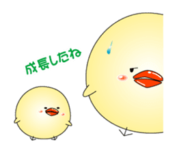 Cat *3 chick (one's own pace) panda sticker #6408821