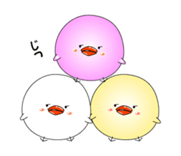 Cat *3 chick (one's own pace) panda sticker #6408828