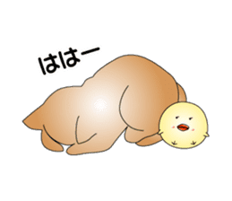 Cat *3 chick (one's own pace) panda sticker #6408836