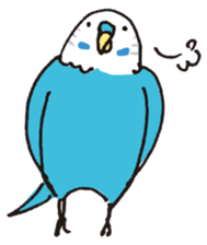 loose budgerigar sticker #6409549
