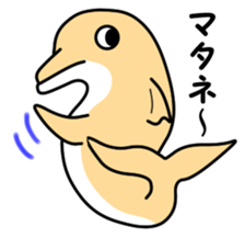 Friend of the SEA  Dolphin and Whale sticker #6409647