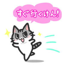 Hougen neko 3 (The Hakata dialect) sticker #6410338