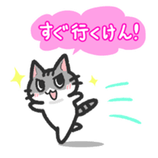 Hougen neko 3 (The Hakata dialect) sticker #6410338