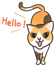HELLO!Japanese cat sticker #6412345