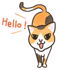 HELLO!Japanese cat sticker #6412345