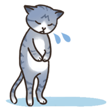 HELLO!Japanese cat sticker #6412349