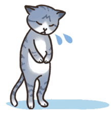 HELLO!Japanese cat sticker #6412349