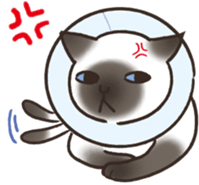 HELLO!Japanese cat sticker #6412362