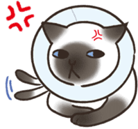 HELLO!Japanese cat sticker #6412362