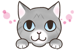 HELLO!Japanese cat sticker #6412375