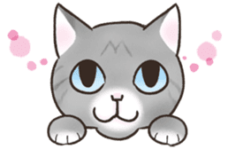 HELLO!Japanese cat sticker #6412375