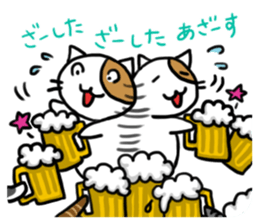 Cutie actress cat sticker #6413675