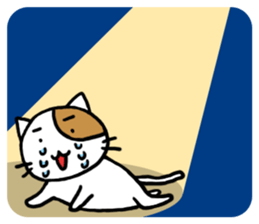 Cutie actress cat sticker #6413687