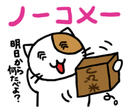 Cutie actress cat sticker #6413701