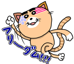 This cat! I cook! sticker #6414916