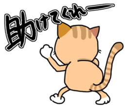This cat! I cook! sticker #6414917