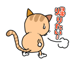 This cat! I cook! sticker #6414921