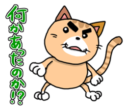 This cat! I cook! sticker #6414926