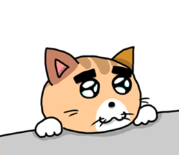 This cat! I cook! sticker #6414934