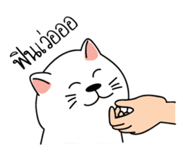 Auan Jung Big Cat sticker #6418516