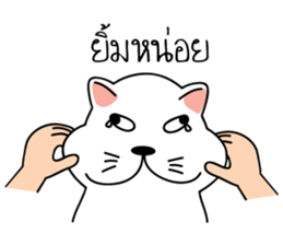 Auan Jung Big Cat sticker #6418523