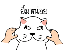 Auan Jung Big Cat sticker #6418523